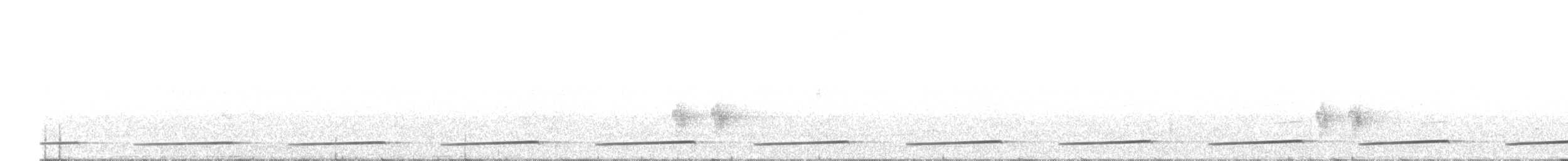 White-necklaced Partridge - ML629611677