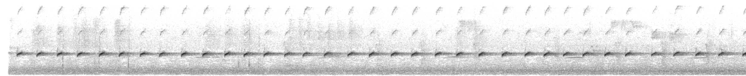 White-throated Treecreeper - ML629621138