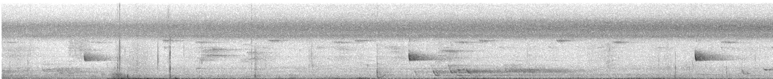 Cryptic Honeyeater - ML629621237