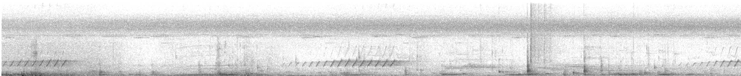Shining Flycatcher - ML629621581