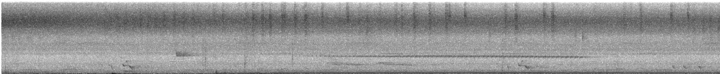 Shining Flycatcher - ML629621598