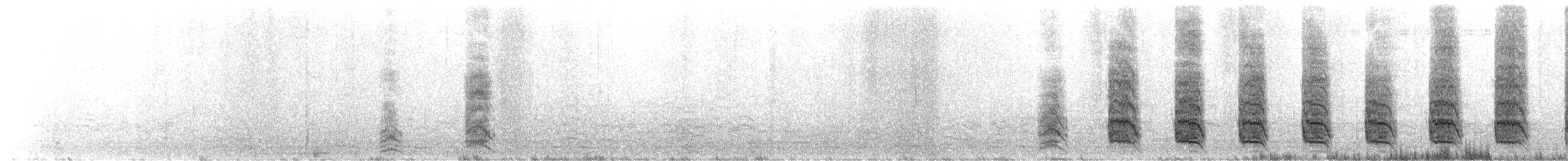 Brown Skua (Subantarctic) - ML629621629