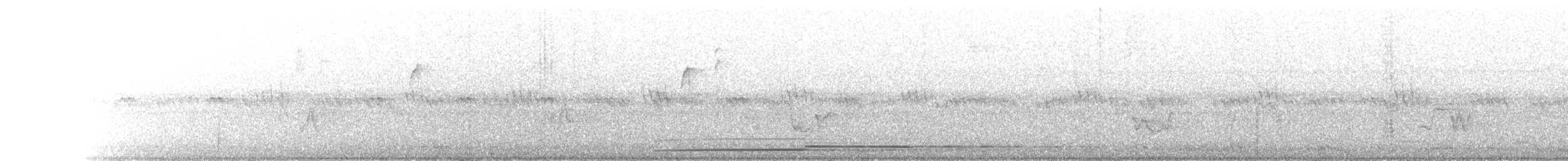 Common Loon - ML629622384