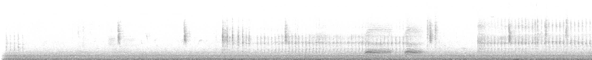 Belted Kingfisher - ML629623805