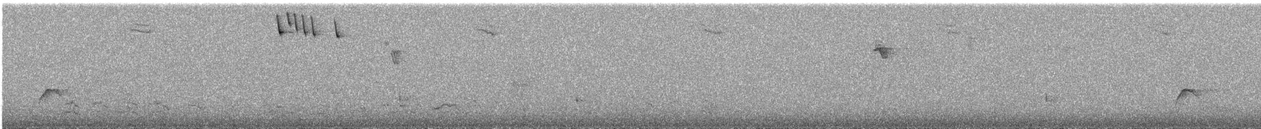 Sierran Elaenia - ML629626933