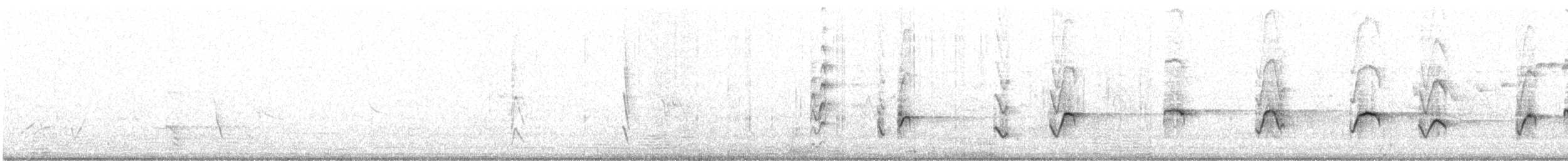 Dusky Gerygone - ML629628997