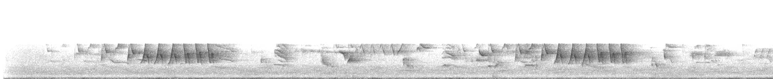 Northern Waterthrush - ML629632543