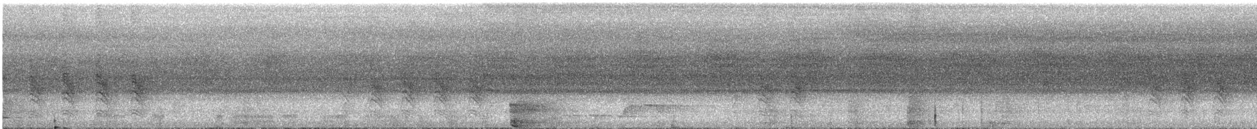 White-faced Robin - ML629634405