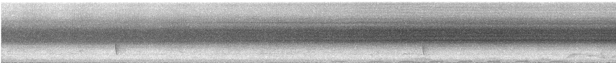 praktfruktdue - ML629635838