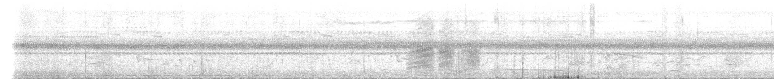 Black-lored Babbler - ML629638296
