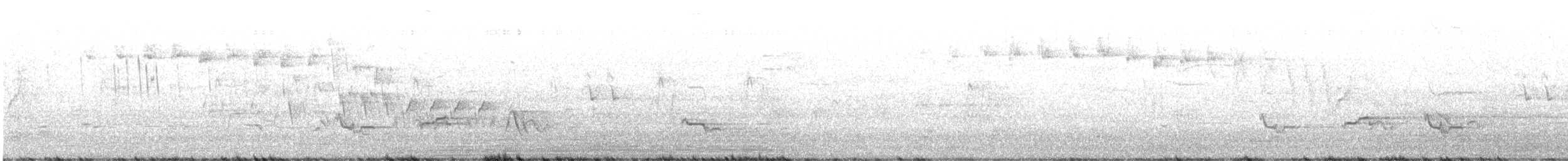 Blackpoll Warbler - ML629645232