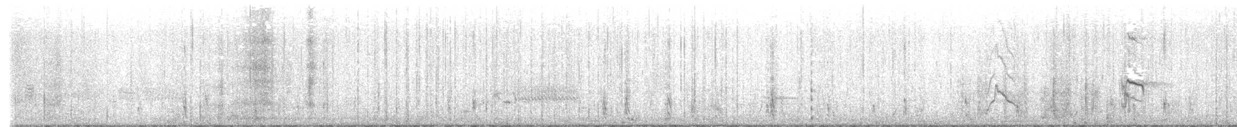 Great-tailed Grackle - ML629645927