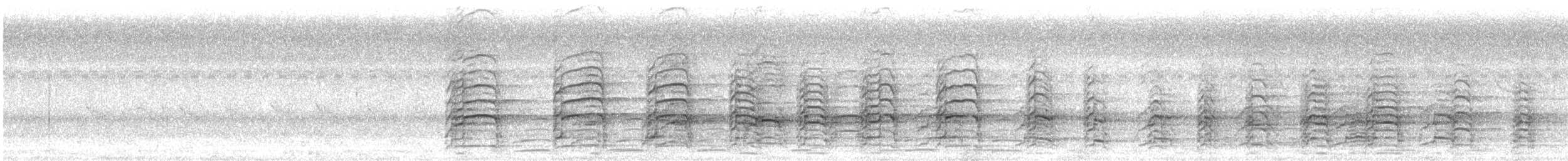 カササギサイチョウ - ML629646126