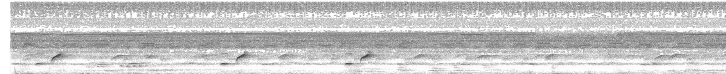 Puerto Rican Owl - ML629652829