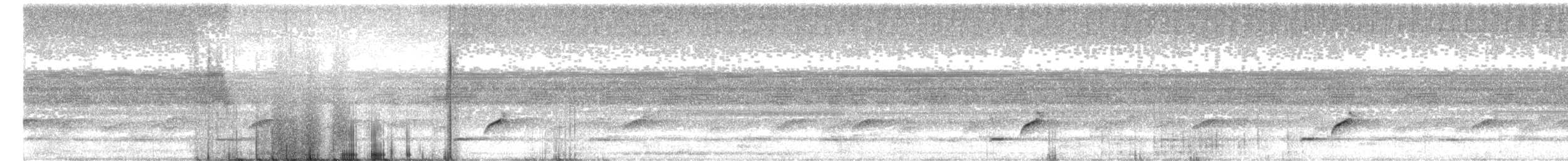 Puerto Rican Owl - ML629652979