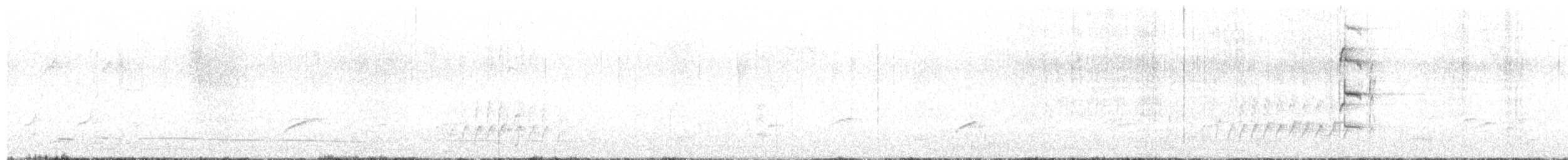 Loggerhead Kingbird - ML629668843