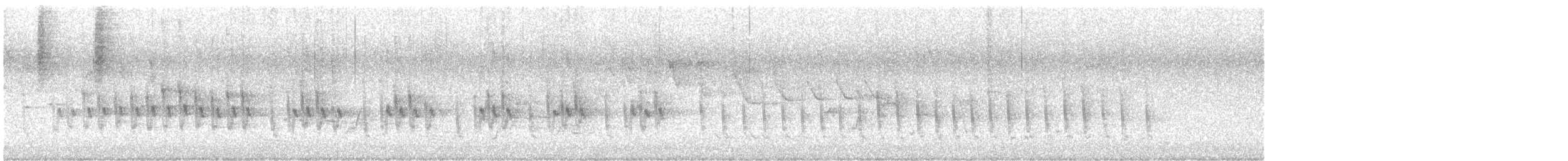 White-winged Triller - ML629669407