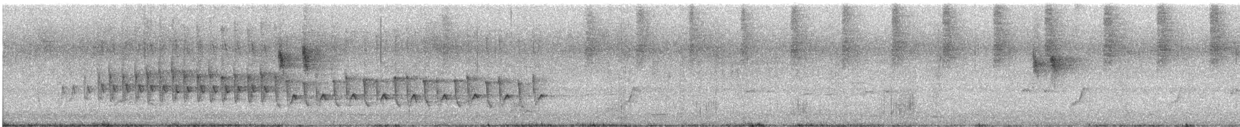 White-winged Triller - ML629669487