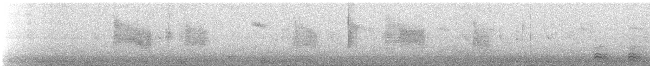 Bewick's Wren - ML629670186