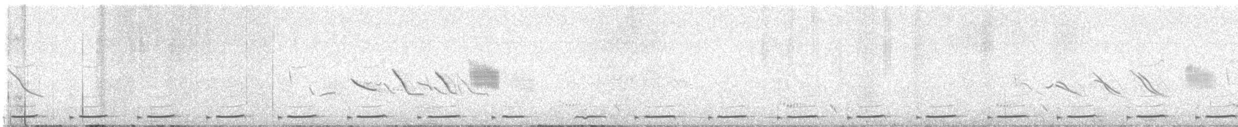 Graubrust-Höhenläufer - ML629671386