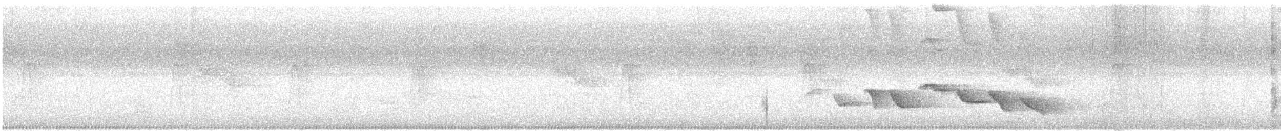 Sumichrast's Wren - ML629684812