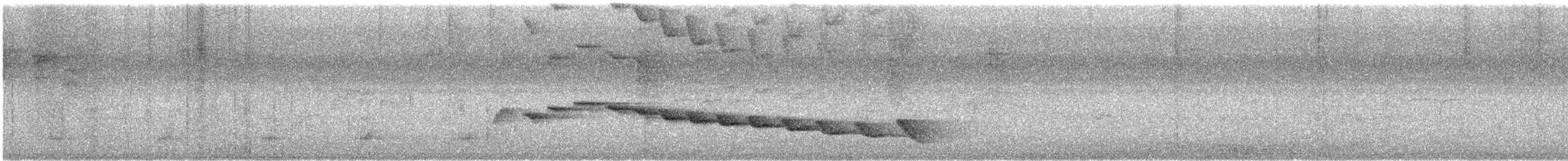 Sumichrast's Wren - ML629685039