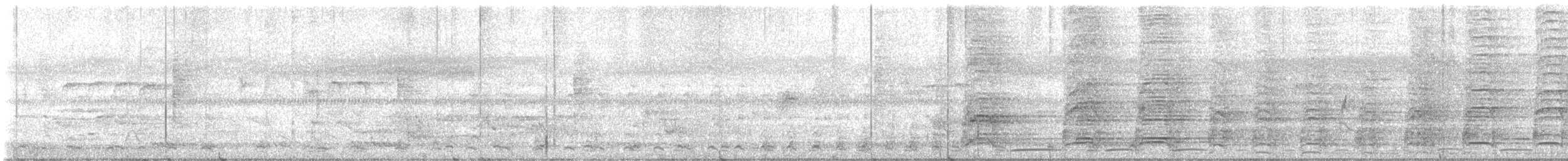 カササギサイチョウ - ML629689915