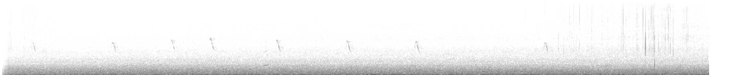 Black Phoebe - ML629704862