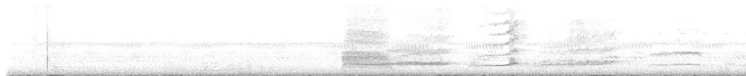 Western Barn Owl - ML629709350