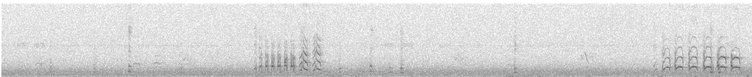 White-crowned Shrike - ML629709379