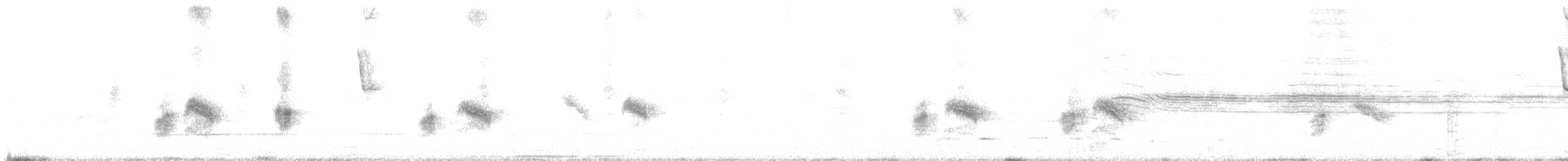 Hirondelle gracieuse - ML629721104