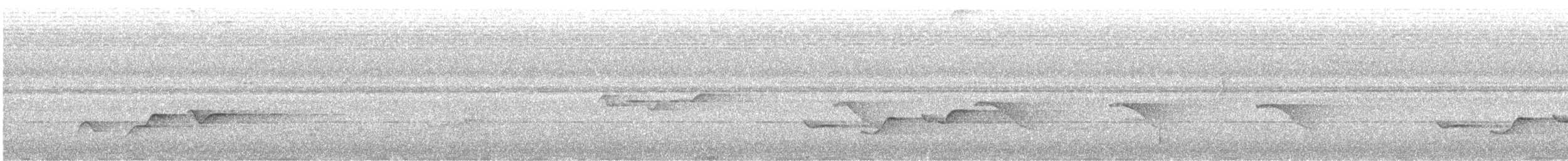 White-chested Babbler - ML629731521