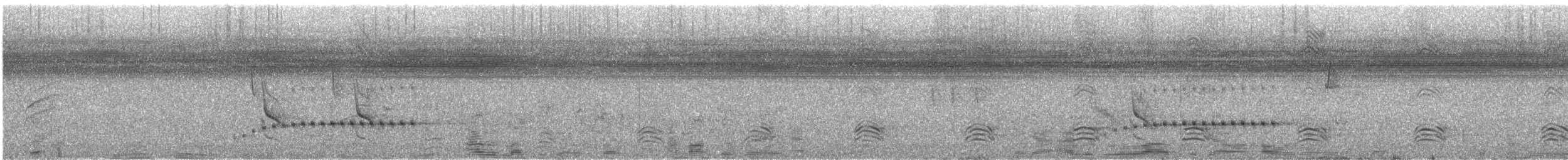 Hamerkop - ML629741421