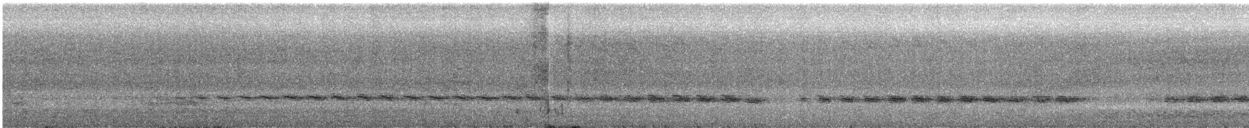 Sahul Cicadabird - ML629743599