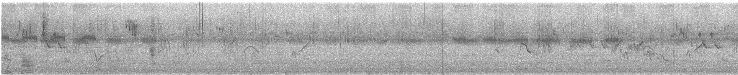 Scarce Swift - ML629743926