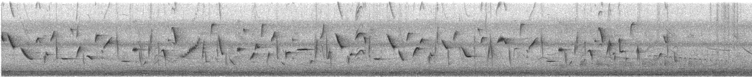 Serin d'Abyssinie - ML629746827