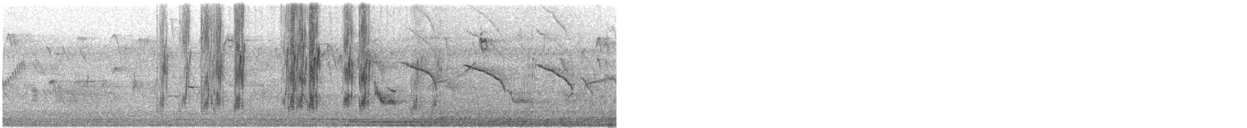 Black-winged Lovebird - ML629746873