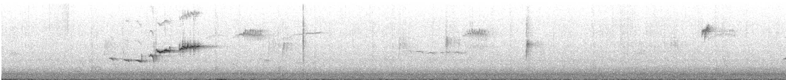 hvitkronespurv - ML629747079