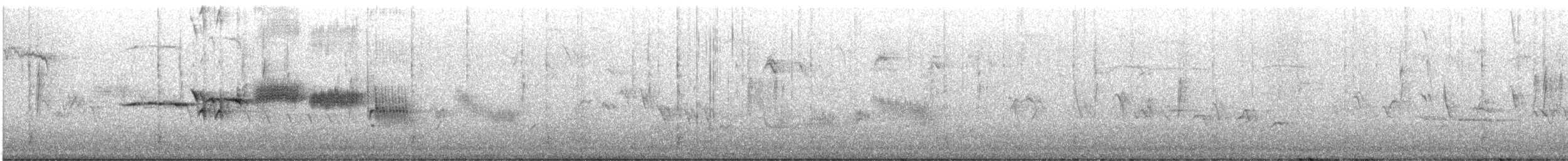 hvitkronespurv - ML629747273