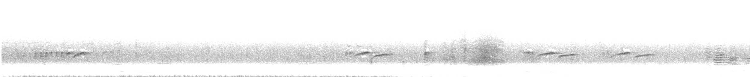 Long-tailed Minivet - ML629751373