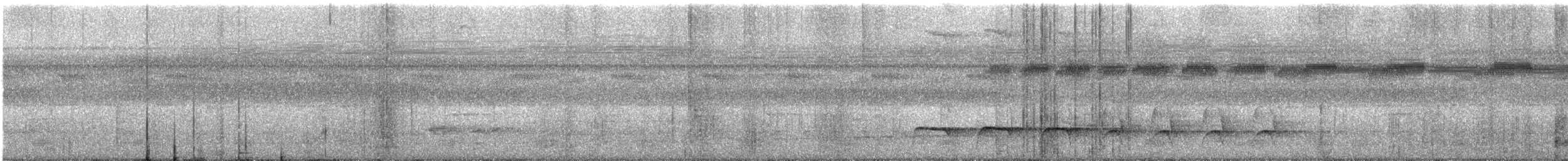 Lawrence's Thrush - ML629752347