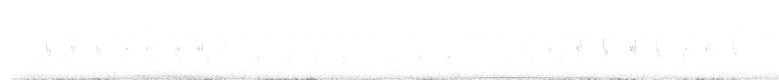 Barbary Partridge - ML629753406