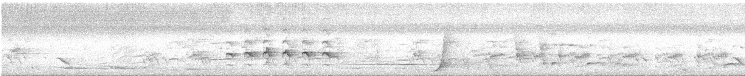 Sacred Kingfisher - ML629755982