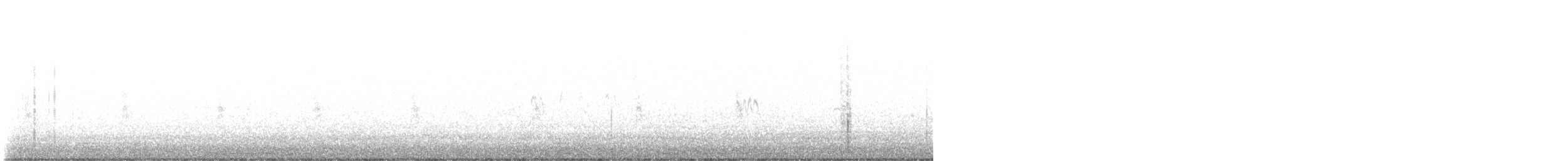 Blue-winged Teal x Northern Shoveler (hybrid) - ML629763666