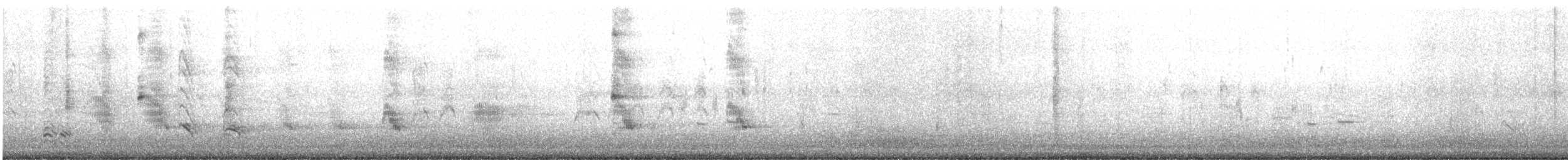 Forster's Tern - ML629766140