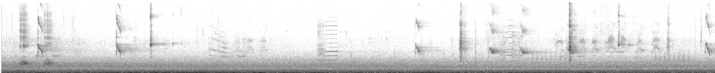 Forster's Tern - ML629766949