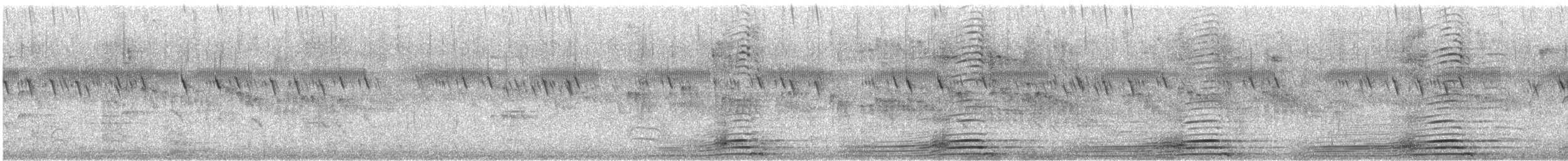 Gray Crowned-Crane - ML629768197