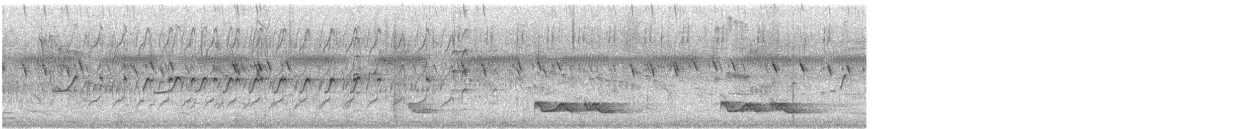 Donaldson Smith's Nightjar - ML629768341