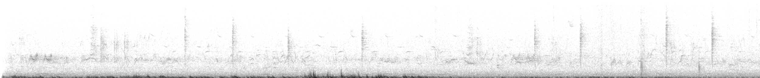 Curruca Capirotada - ML629769606