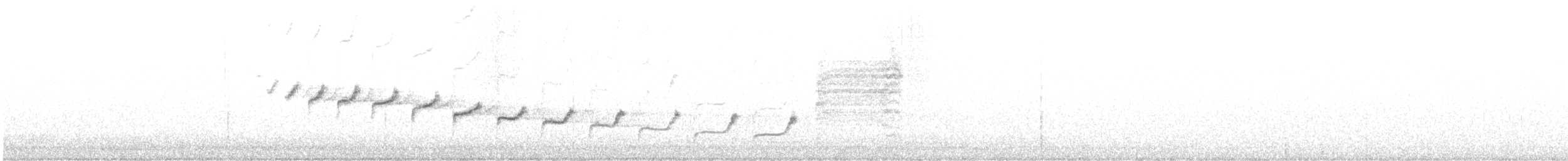ムナジロミソサザイ - ML629774129